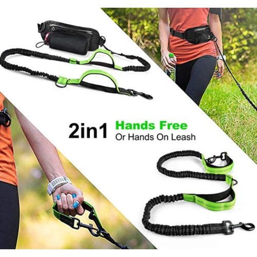 Bungee Hands Free Dog Leash