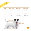 Dog Winter Coat Colorful Stripes for Cold Weather