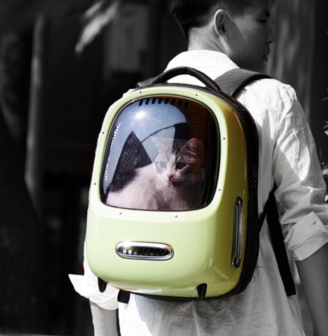 Bunny Backpack Carrier