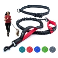 Bungee Hands Free Dog Leash