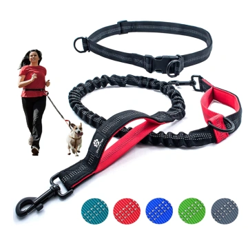 Bungee Hands Free Dog Leash