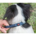 Ballistic Nylon Heavy Duty Dog Collar