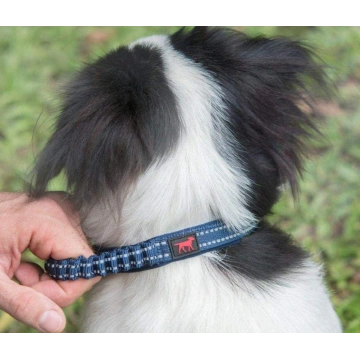 Ballistic Nylon Heavy Duty Dog Collar