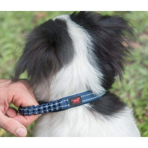 Ballistic Nylon Heavy Duty Dog Collar