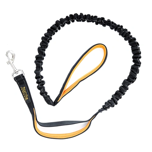 Comfortable Bungee Dog Leash