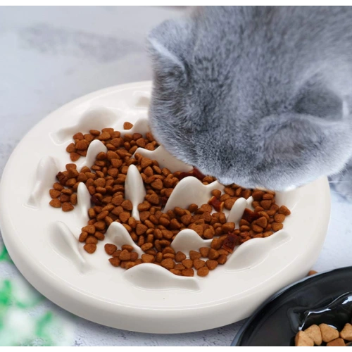 Ceramic Slow Cat Bowl