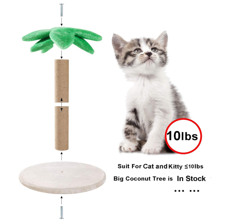 Kitties Scratch Post