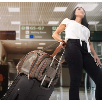 Double Expandable Airline Approved Pet Carrier