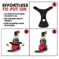 Male & Female Dog Diapers