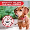 2 Pet Dog ID Metal Tags