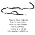 Hands Free Dog pet Leash