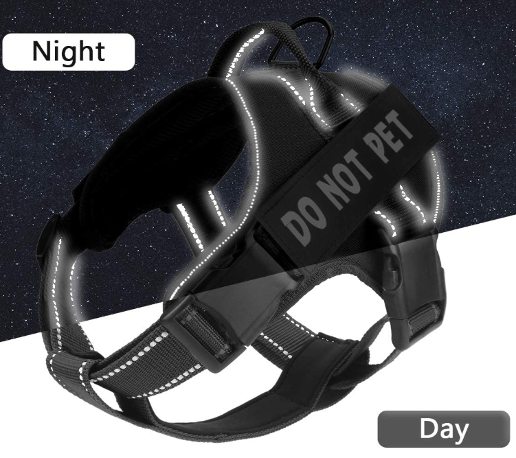 Dog Training Harness