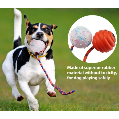 2 Pcs Dog Training Ball on Rope