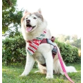 Dog Rope Toys for Aggressive Chewers