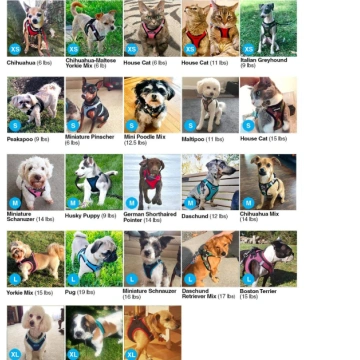 Step-In Air Dog/Pet Harness