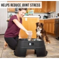 Elevated Dog Food Dish