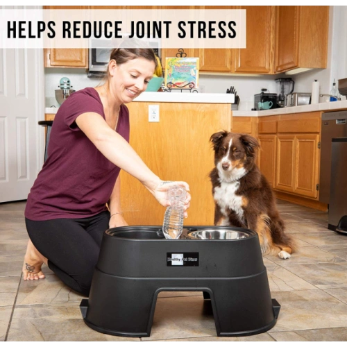 Elevated Dog Food Dish
