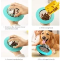 Assorted Colors Dog Treat Ball