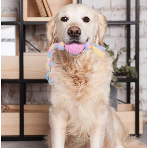 3 Pack Durable Interactive Dog Toys