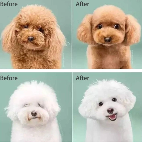 Detangling-Dog Comb and Brush Set