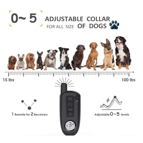 Dog Shock Collar with Remote