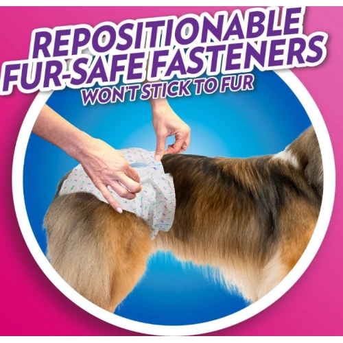 Disposable Female Dog Diapers