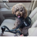 4-6FT Bungee Dog Leash