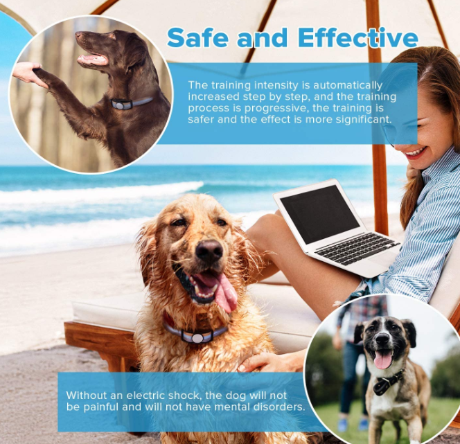 Waterproof Dog Training Collar