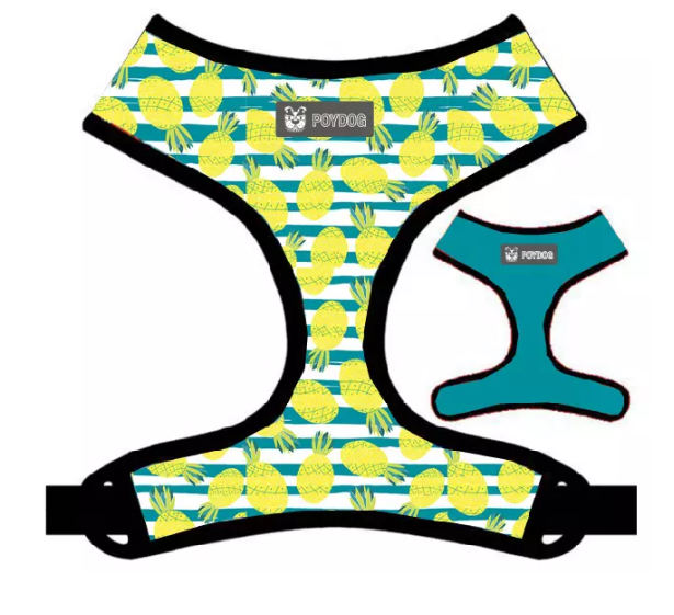 Reversible Dog Harness