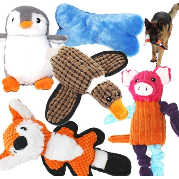 5 Pack Value Bundle Dog Toy
