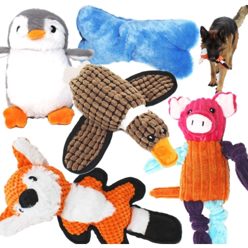 5 Pack Value Bundle Dog Toy