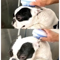 Pet Washing Cleaning Brush