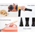 Double Motor pet Dryer