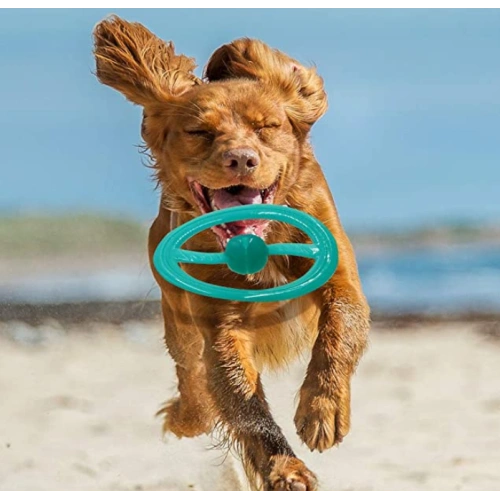 Dog Frisbee Interactive Flying Disc Pet Toys