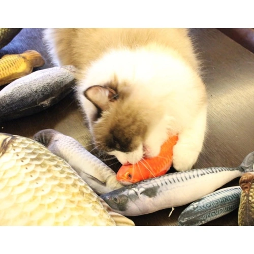 Cat Play Toys Accessories