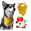 Dog Bandana Plus Set of 5 Dog Toys