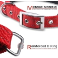 Soft Padded Dog Collar with Buckle