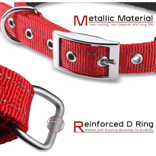Soft Padded Dog Collar with Buckle