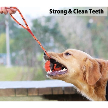 2 Pcs Dog Training Ball on Rope