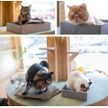Wide Cat Scratcher Cardboard