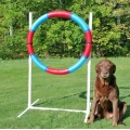 Lightweight Agility Practice Tire for dog