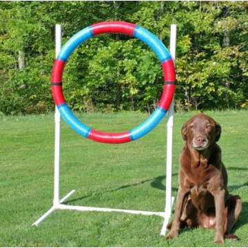 Lightweight Agility Practice Tire for dog