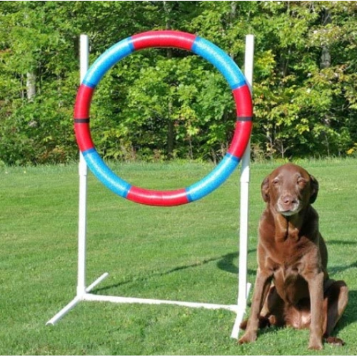 Lightweight Agility Practice Tire for dog