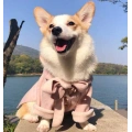 Small Dog Winter Coat Dog Clothes
