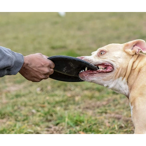 Dog Frisbee Durable Natural Rubber