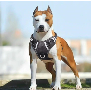 Big Large Dog Harness