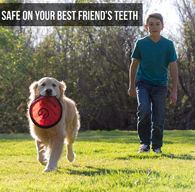 Interactive Pet Toys