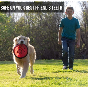 Dog Frisbee Interactive Dog Toys