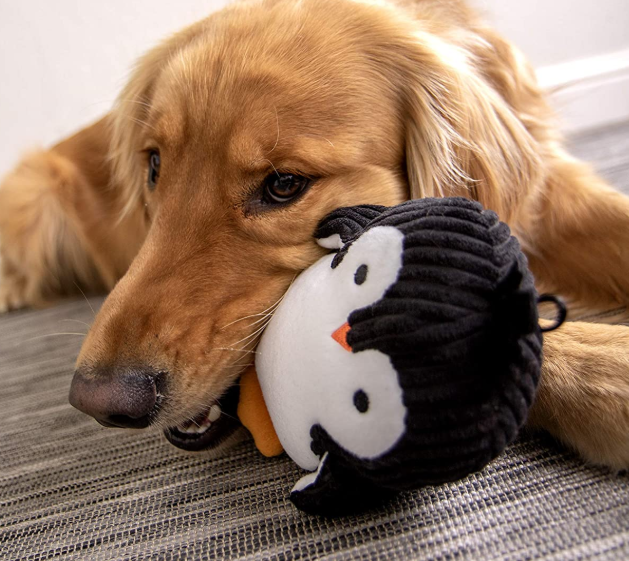 Puppy Dog Plush Toy
