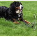 16 Inch Dog Tie Out Stake